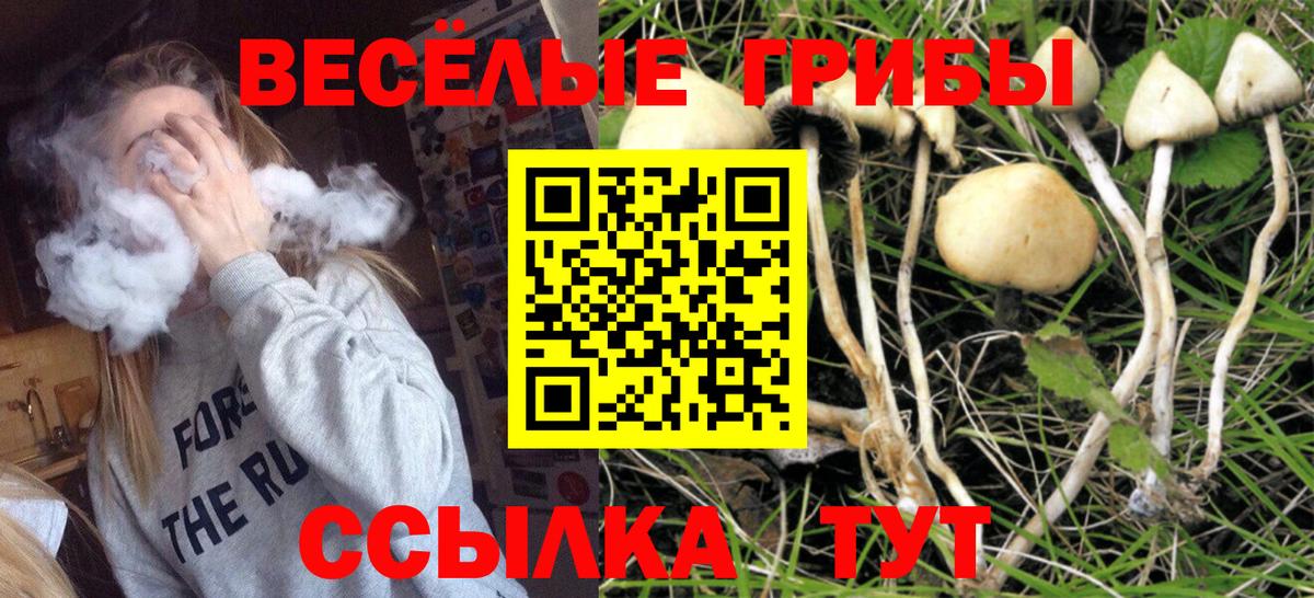 Избербаш  Галлюциногенные грибы GOLDEN TEACHER  Вход с VPN 