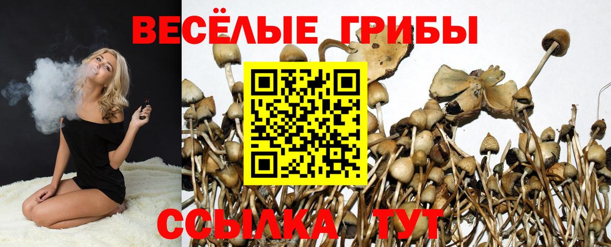 Галлюциногенные грибы мухоморы Избербаш